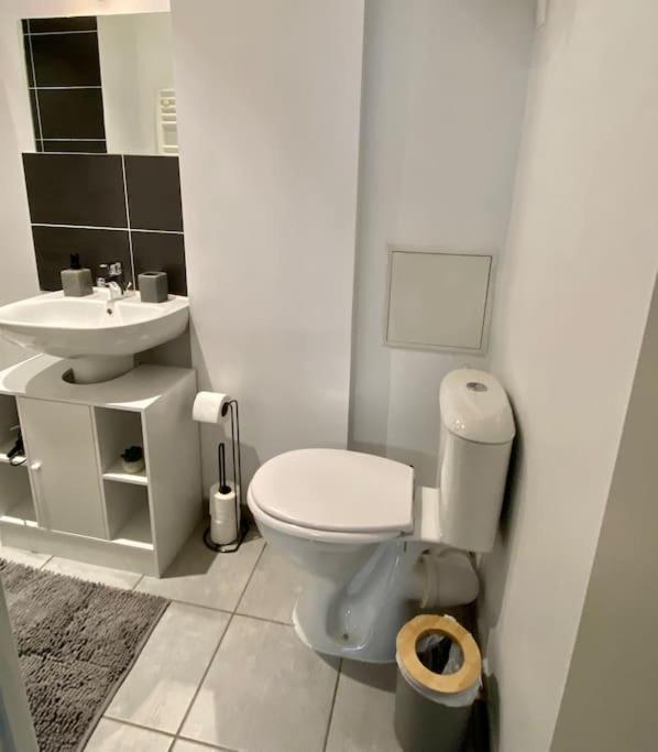 Vaste Appartement Renove - Centre Ville 부르앙브레스 외부 사진
